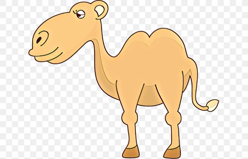 Dromedary Clip Art Terrestrial Animal Fauna Snout, PNG, 631x525px, Dromedary, Action Toy Figures, Animal, Animal Figure, Arabian Camel Download Free