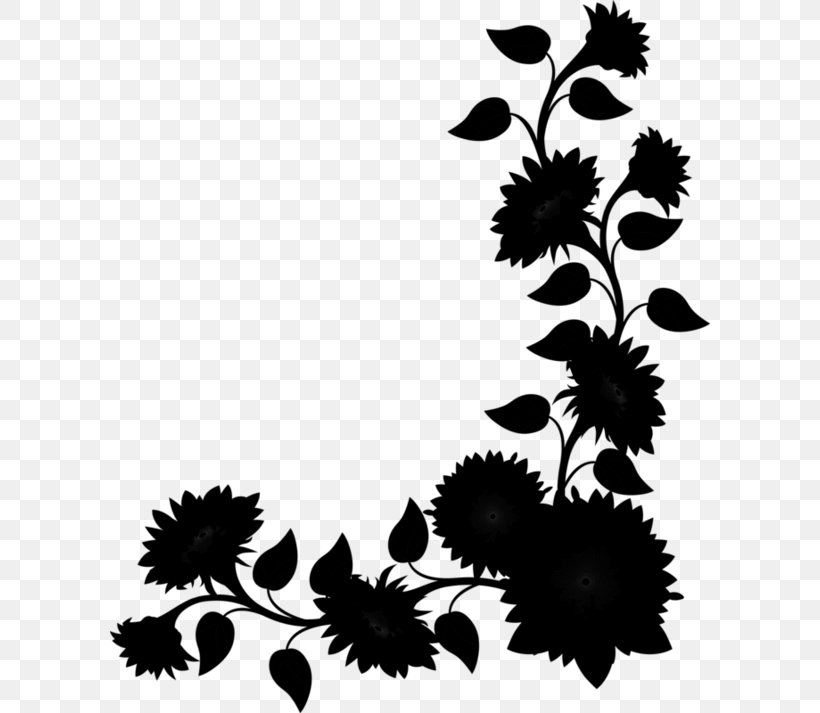 Chrysanthemum Floral Design Pattern Leaf, PNG, 600x713px, Chrysanthemum, Black M, Blackandwhite, Botany, Chrysanths Download Free