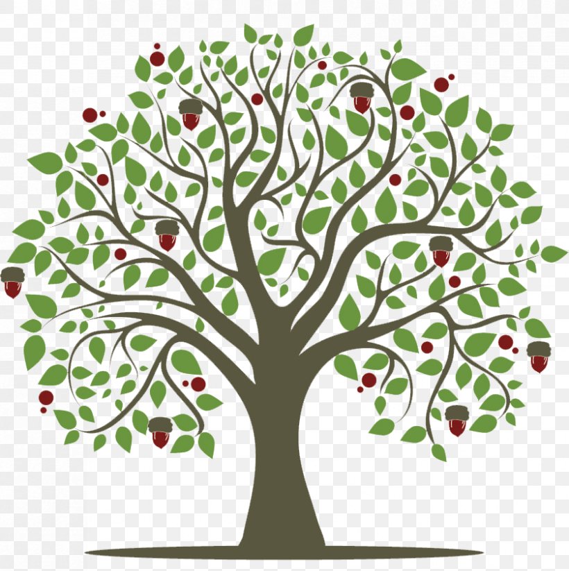 Twig Tree Sociology: The Basics Oak, PNG, 839x843px, Twig, Branch, Flora, Floral Design, Flower Download Free