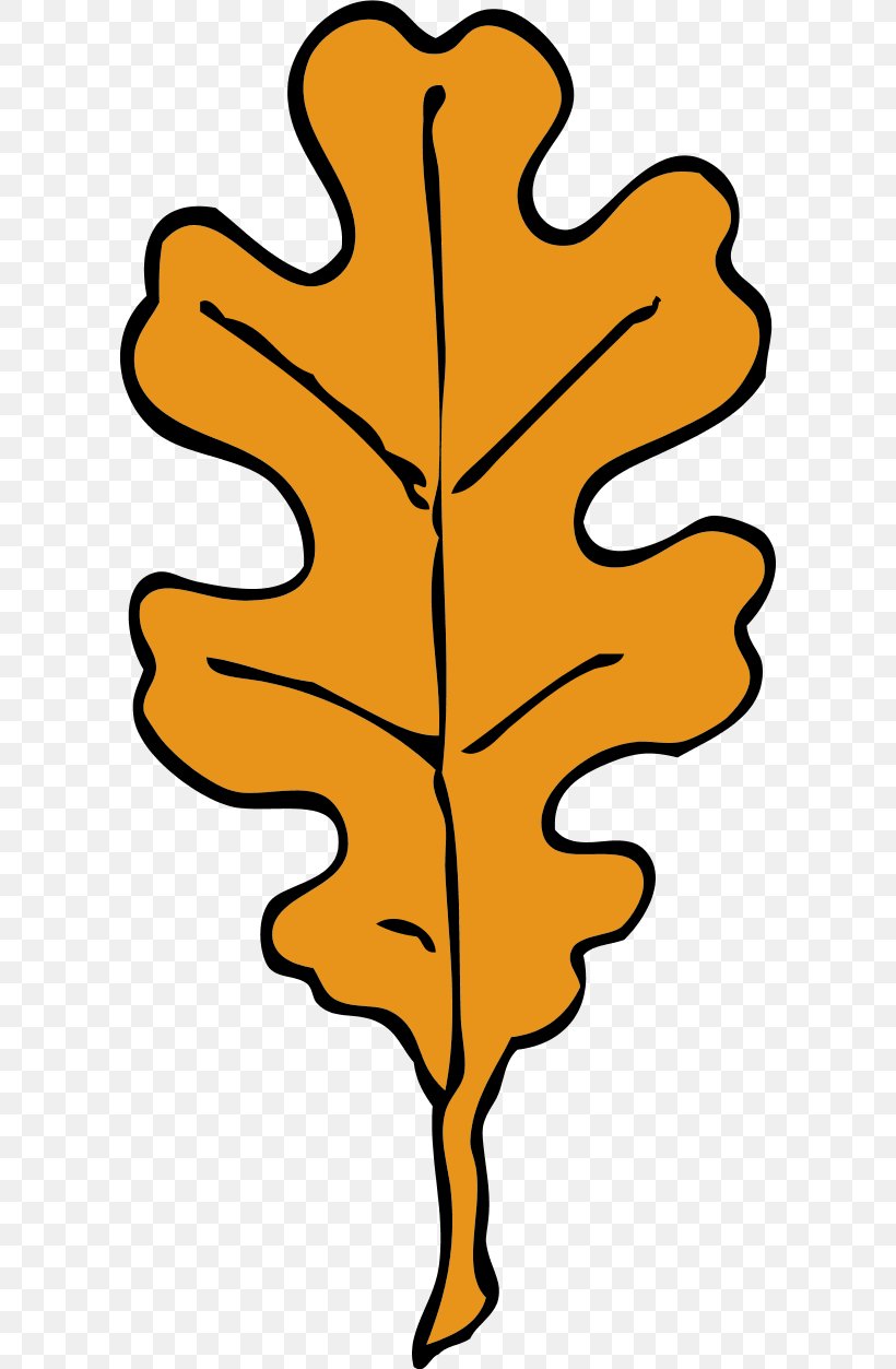 White Oak English Oak Quercus Coccinea Quercus Velutina Clip Art, PNG, 600x1253px, White Oak, Acorn, Artwork, Autumn, Autumn Leaf Color Download Free