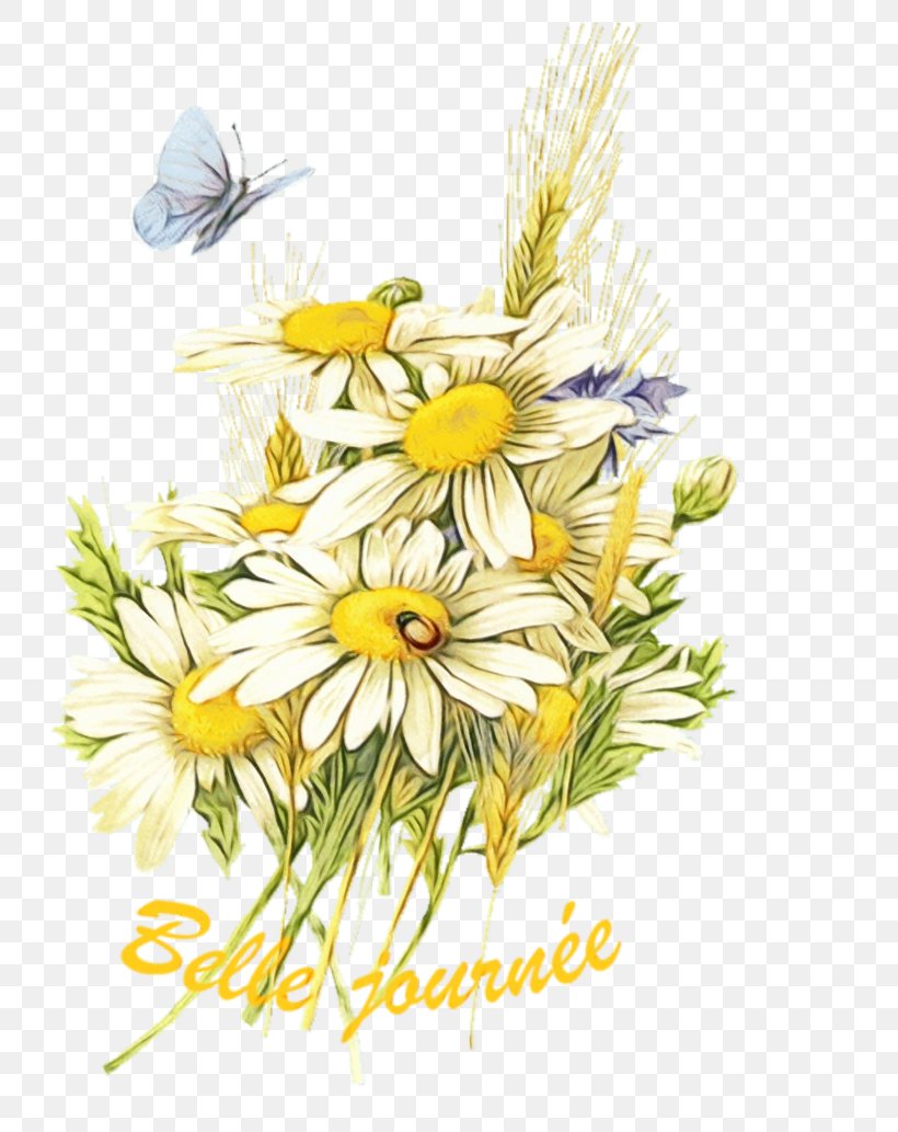 Clip Art Flower Image Oxeye Daisy, PNG, 800x1033px, Flower, Aster, Birthday, Blog, Camomile Download Free