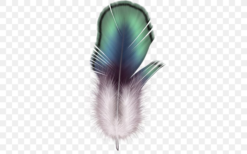 Eagle Feather Law, PNG, 512x512px, Feather, Digital Image, Eagle Feather Law, Image File Formats Download Free