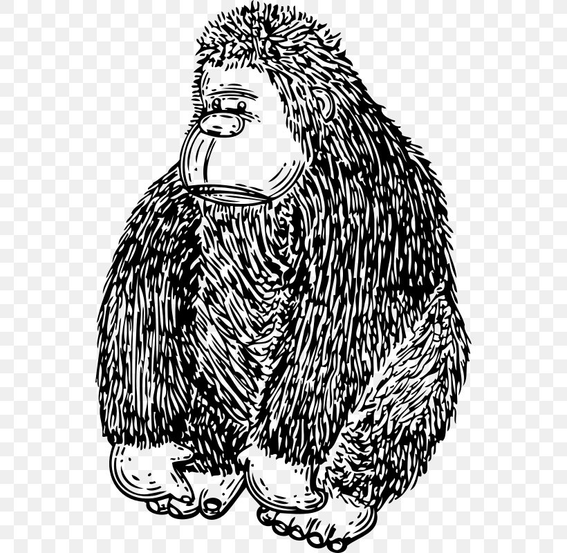 Gorilla Download Clip Art, PNG, 546x800px, Gorilla, Art, Beak, Bird, Black And White Download Free