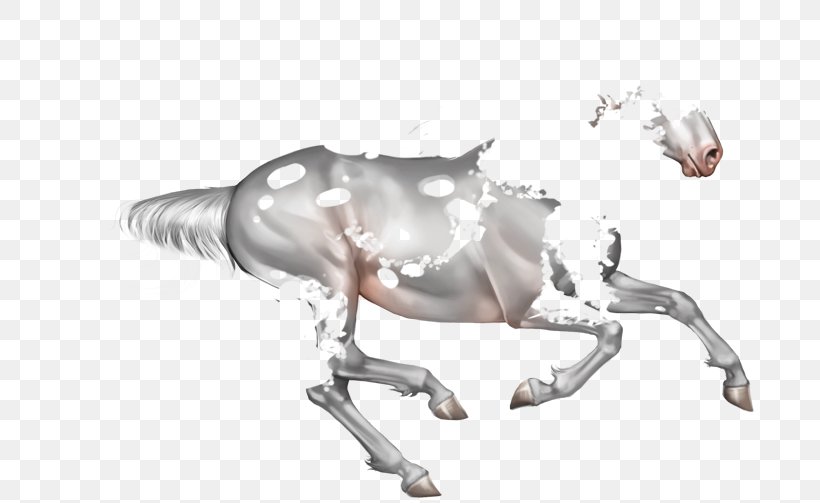 Horse Decapoda Sterling Silver Pound Sterling, PNG, 700x503px, Horse, Decapoda, Horse Like Mammal, Jaw, Joint Download Free