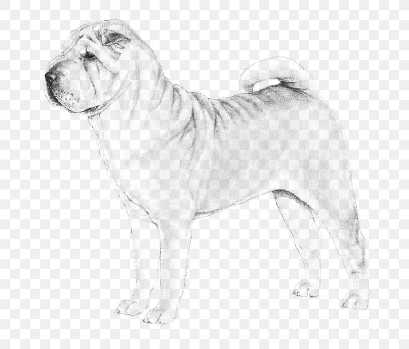 Shar Pei Dog Breed Chow Chow The Chinese Shar-Pei Puppy, PNG, 700x700px, Shar Pei, American Kennel Club, Artwork, Big Cats, Black And White Download Free
