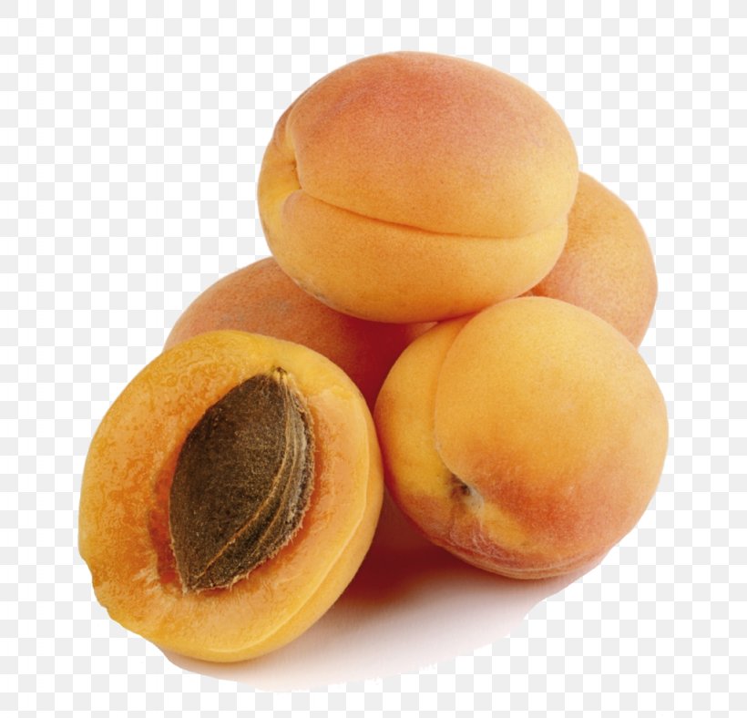 Apricot Fruit Orange Vitamin C Les Paysans Bio, PNG, 1024x985px, Apricot, Food, Fruit, Onion, Orange Download Free