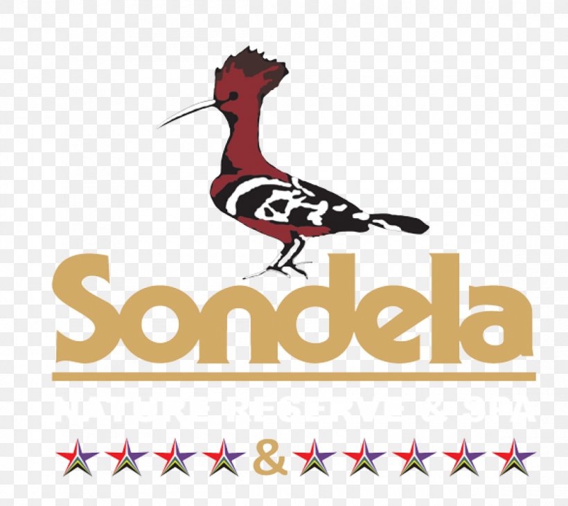 Bela-Bela Sondela Land Cruiser MTB Fun Race 2018 Sondela Nature Reserve & Spa Bela Bela Accommodation, PNG, 1160x1035px, Accommodation, Advertising, Area, Artwork, Beak Download Free