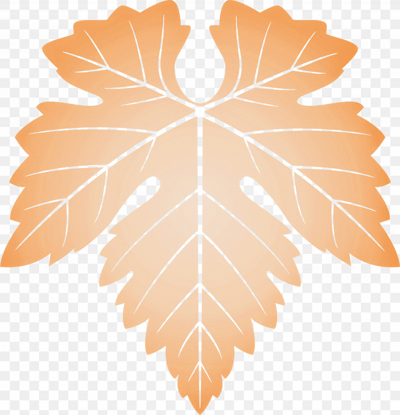 Grapes Leaf Leaf, PNG, 2893x3000px, Grapes Leaf, Black Maple, Flower, Grape Leaves, Leaf Download Free