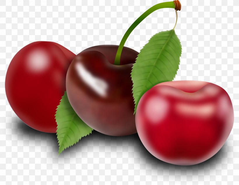 Barbados Cherry Cranberry Fruit Food, PNG, 1294x1000px, Barbados Cherry, Accessory Fruit, Acerola, Acerola Family, Apple Download Free