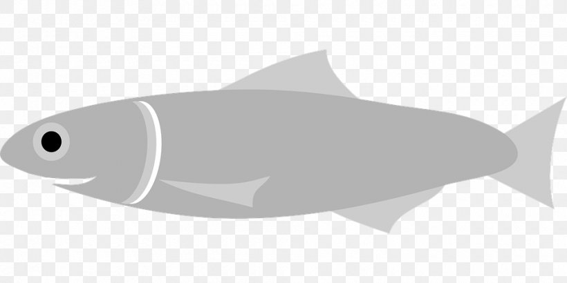 Fish European Anchovy Drawing Clip Art, PNG, 960x480px, Fish, Anchovy, Animal, Blog, Drawing Download Free