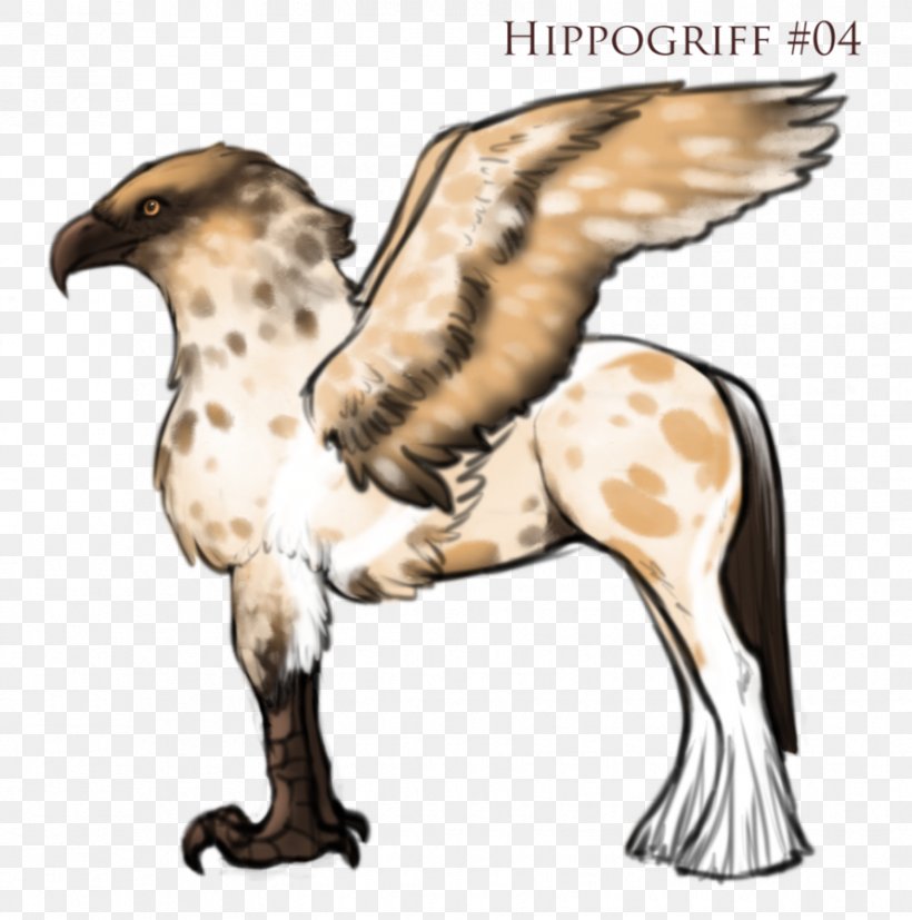 Hawk Wildlife Beak Neck, PNG, 890x898px, Hawk, Beak, Bird, Bird Of Prey, Fauna Download Free