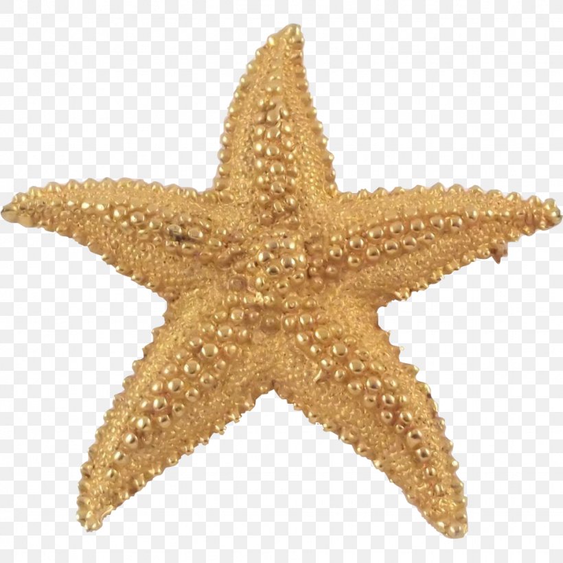 Starfish Marine Invertebrates Gold Echinoderm, PNG, 972x972px, Starfish, Animal, Brooch, Echinoderm, Gold Download Free