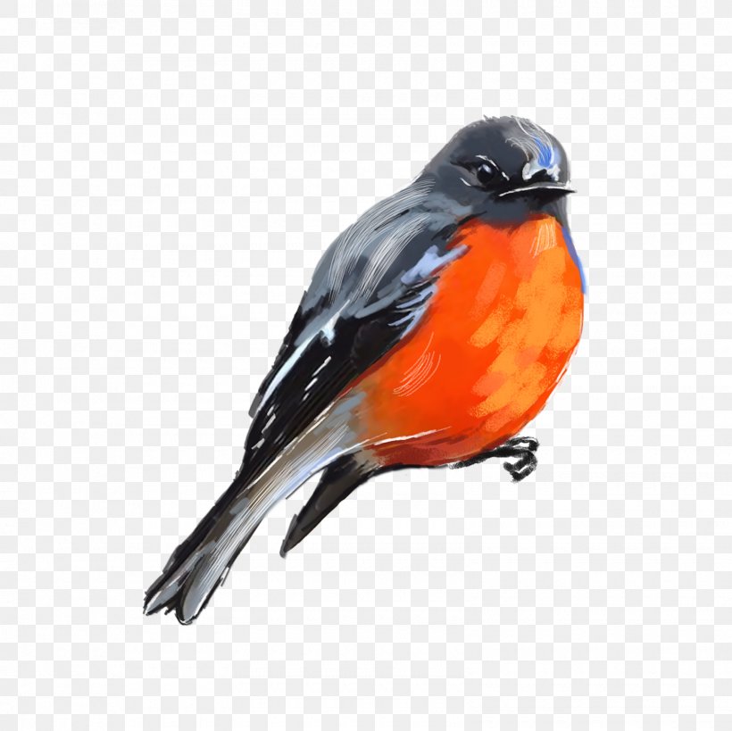 Bird PicsArt Photo Studio Beak Finches Facebook, PNG, 1600x1600px, 22 March, Bird, Beak, Editing, Email Download Free