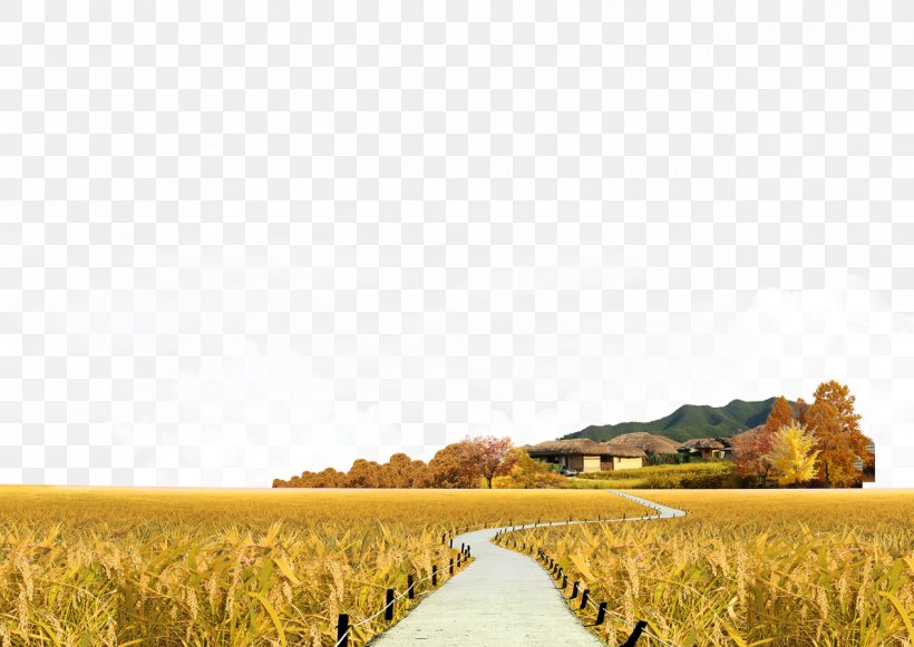 Landscape Icon, PNG, 1269x900px, Landscape, Agriculture, Autumn, Computer, Crop Download Free