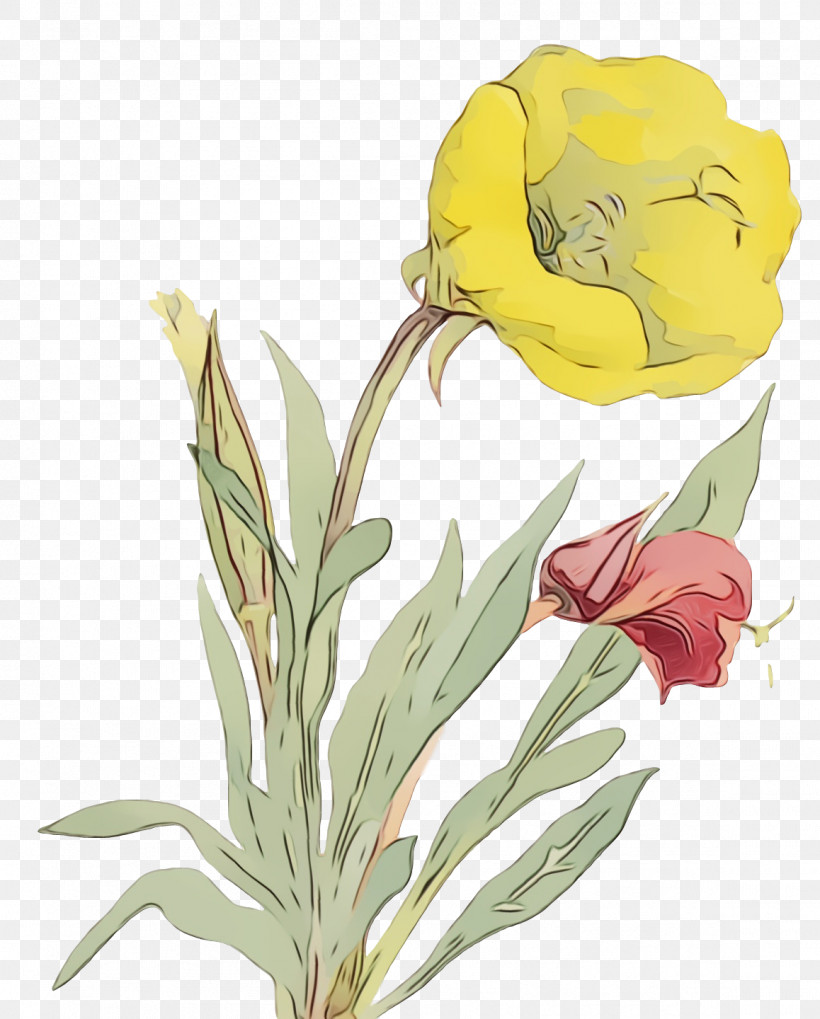 Floral Design, PNG, 1158x1440px, Watercolor, Biology, Cut Flowers, Flora, Floral Design Download Free