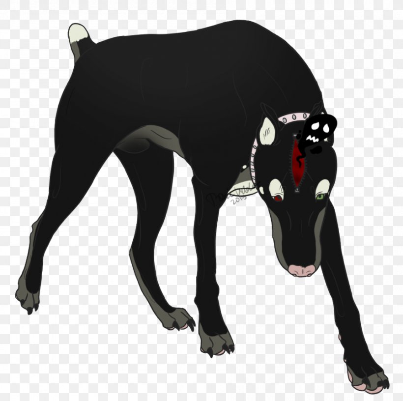 Italian Greyhound Dog Breed Mammal Canidae, PNG, 896x892px, Italian Greyhound, Animal, Black, Black M, Breed Download Free