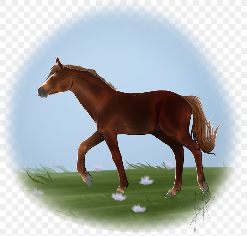 Mustang Foal Stallion Mare Colt, PNG, 1992x1909px, Mustang, Bridle, Colt, Foal, Grass Download Free