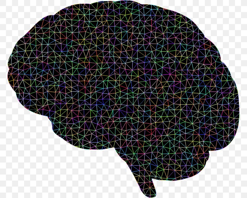 Brain Polygon Neuron Clip Art, PNG, 772x658px, Brain, Abstraction, Activation Function, Anatomy, Color Download Free