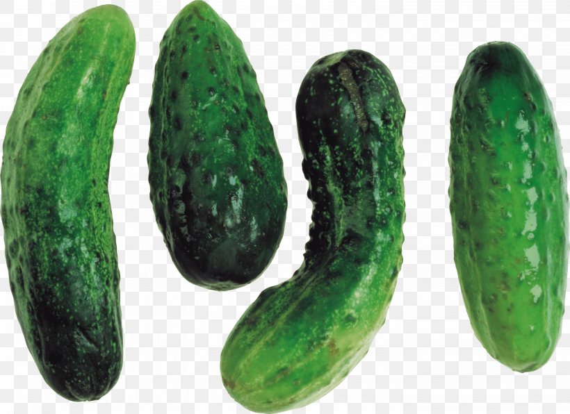 Cucumber Clip Art, PNG, 2881x2097px, Pickled Cucumber, Cucumber, Cucumber Gourd And Melon Family, Cucumis, Digital Image Download Free
