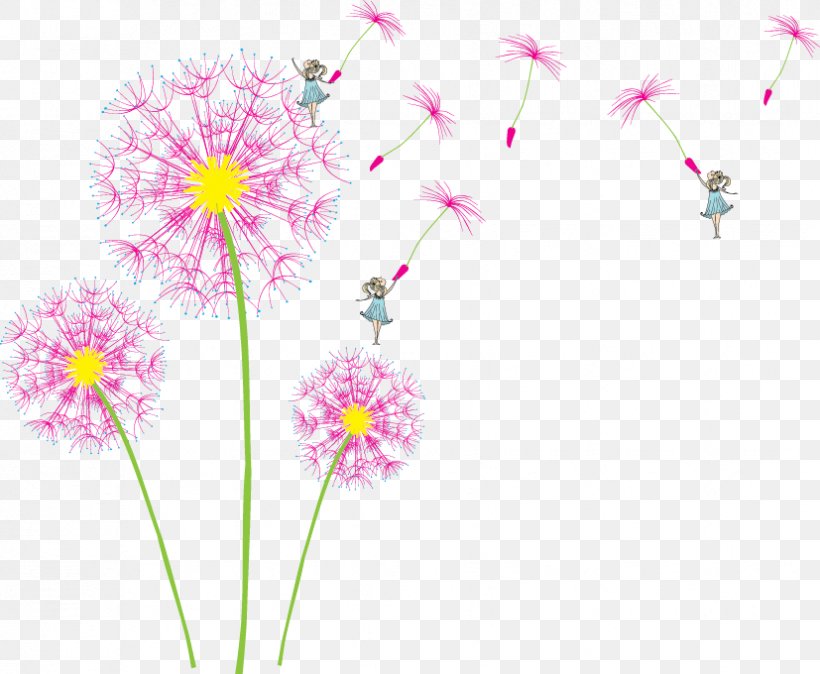 Dandelion Flower, PNG, 827x680px, Watercolor, Cartoon, Flower, Frame, Heart Download Free
