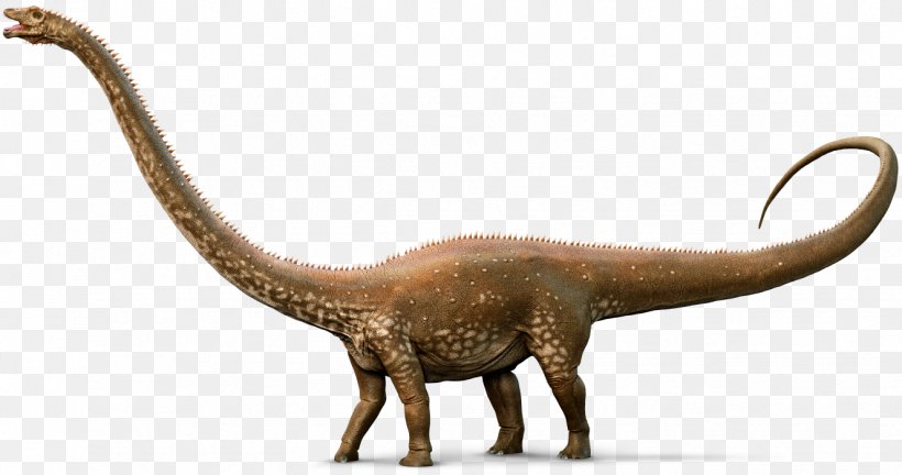 Diplodocus Apatosaurus Amargasaurus Nigersaurus Mamenchisaurus, PNG, 1327x700px, Diplodocus, Amargasaurus, Animal Figure, Apatosaurus, Dinosaur Download Free