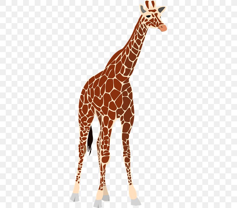 Giraffe Clip Art, PNG, 360x720px, Giraffe, Animal Figure, Drawing, Fauna, Giraffidae Download Free