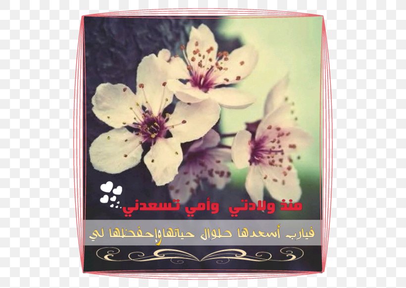 God Good Morning Male Design, PNG, 540x582px, God, Birth, Blossom, Cherry Blossom, Dhikr Download Free