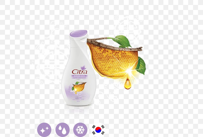 Thailand Lotion Product Price Exercise, PNG, 562x553px, Thailand, Bag, Discounts And Allowances, Exercise, Exercise Bikes Download Free