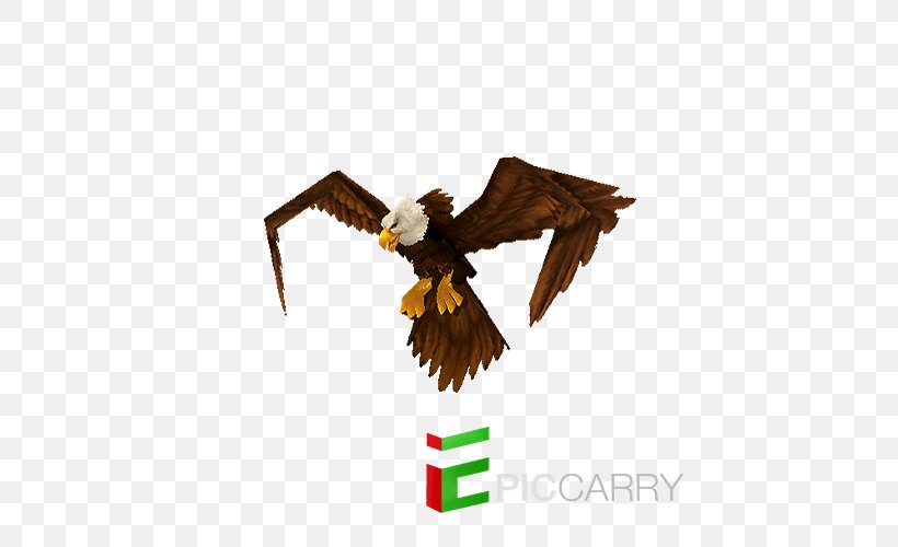 Bald Eagle Beak, PNG, 500x500px, Bald Eagle, Accipitriformes, Beak, Bird, Bird Of Prey Download Free