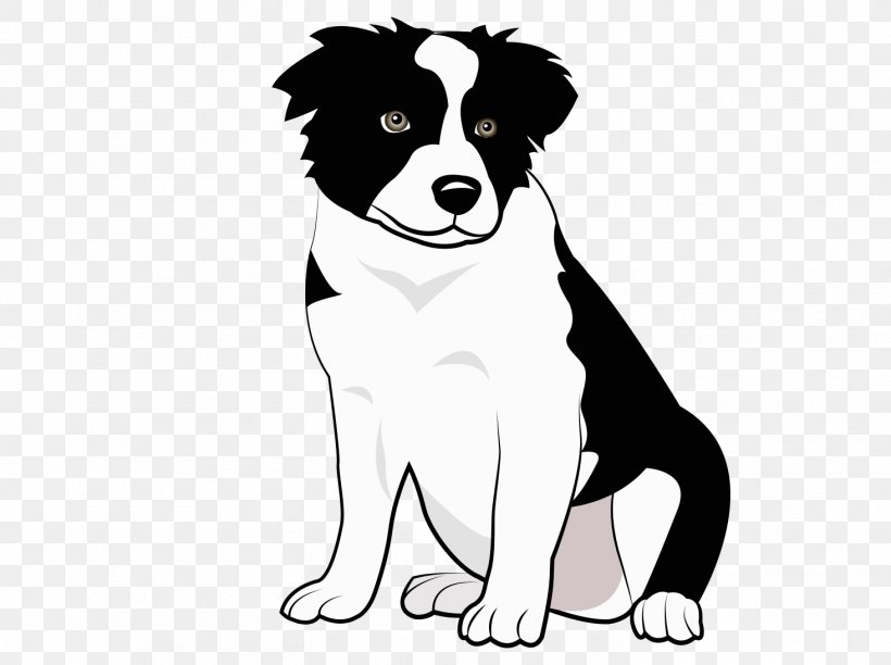 Border Collie Rough Collie Puppy Pet, PNG, 1465x1094px, Border Collie, Animal, Animal Shelter, Black, Black And White Download Free
