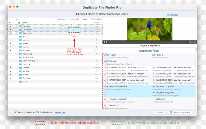 Computer Program Finder Operating Systems, PNG, 2608x1638px, Computer Program, Area, Brand, Computer, Computer Monitor Download Free