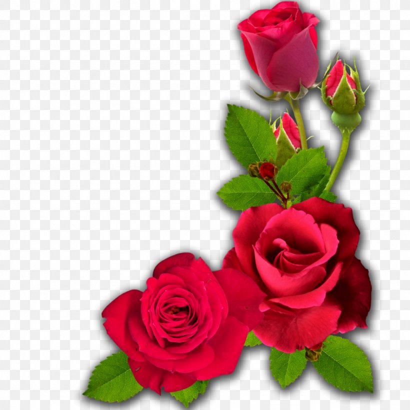 Cut Flowers Garden Roses, PNG, 1024x1024px, Flower, Cadre D Entreprise, Centifolia Roses, Cut Flowers, Digital Image Download Free