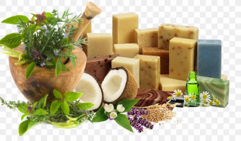 Organic Food Herb Medicinal Plants Ayurveda, PNG, 1601x939px, Organic Food, Alternative Medicine, Ayurveda, Botany, Diet Food Download Free