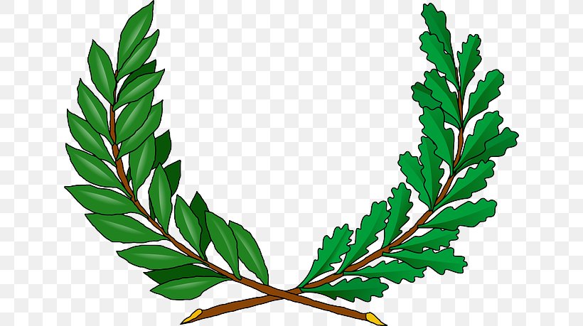 Clip Art Openclipart Vector Graphics Vine Drawing, PNG, 640x459px, Vine, Branch, Drawing, Flowering Plant, Food Download Free
