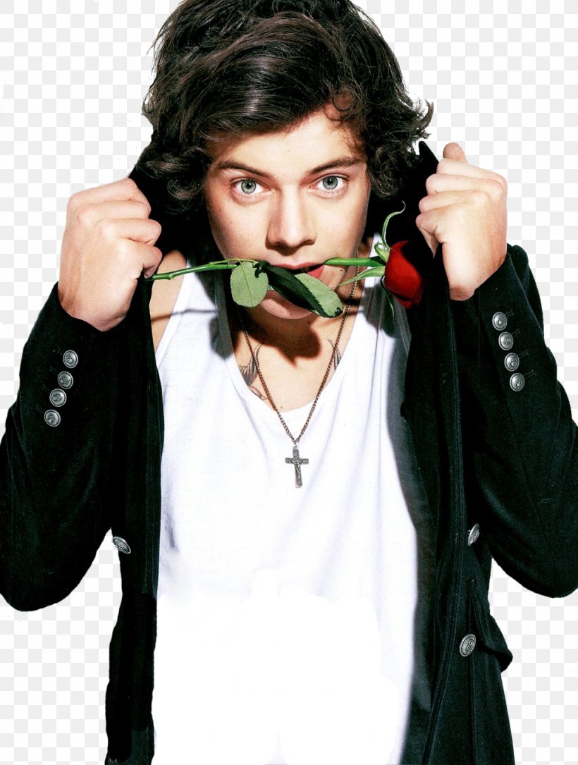 Harry Styles The X Factor One Direction Clip Art, PNG, 1024x1356px,  Watercolor, Cartoon, Flower, Frame, Heart