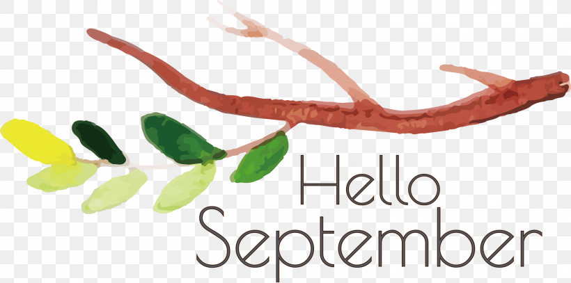 Hello September September, PNG, 3000x1491px, Hello September, Bank Australia, Biology, Geometry, Line Download Free