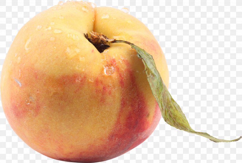 Nectarine Apricot Armenian Plum Clip Art, PNG, 3500x2354px, Peach, Apple, Diet Food, Dieting, Food Download Free