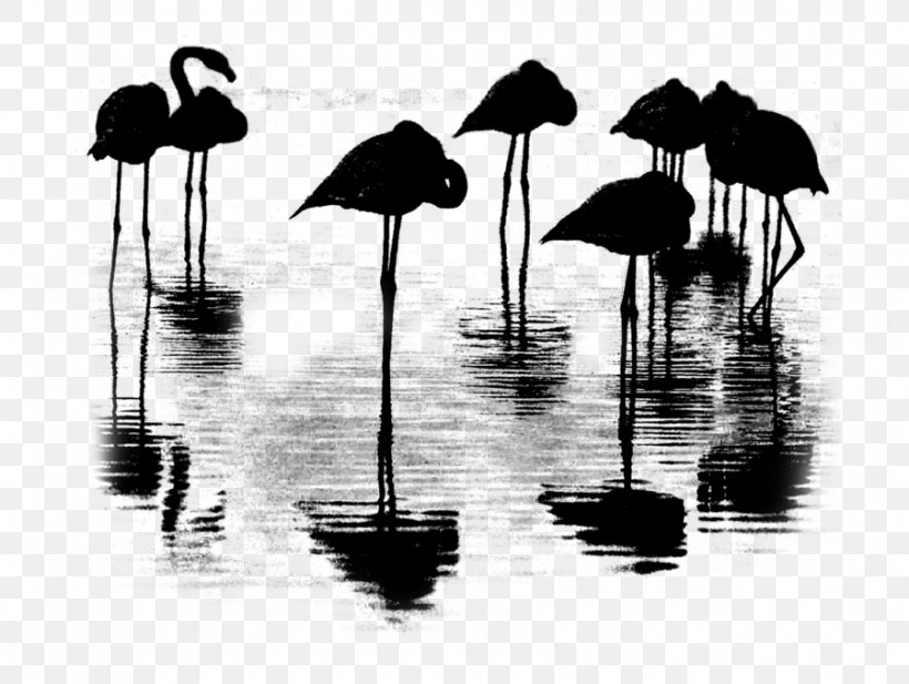 Water Silhouette, PNG, 899x677px, Water, Beak, Bird, Blackandwhite, Flamingo Download Free
