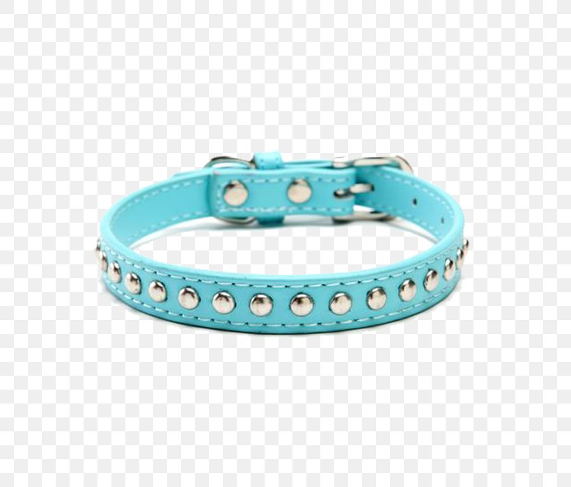 Chihuahua Turquoise Dog Collar Puppy, PNG, 555x700px, Chihuahua, Aqua, Bicast Leather, Blingbling, Bracelet Download Free