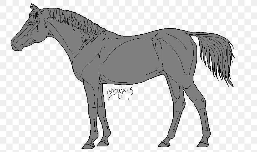 Mule Oligocene Mustang Stallion Foal, PNG, 774x487px, Mule, Animal, Animal Figure, Black And White, Bridle Download Free