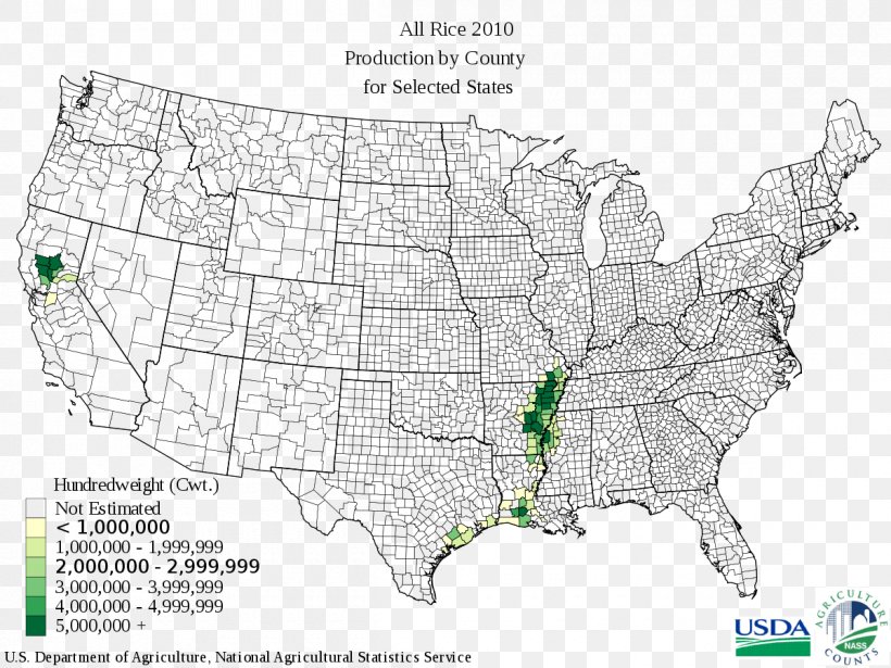 Rice Belt Corn Belt Arkansas Sake, PNG, 1200x901px, Rice Belt, Agriculture, Area, Arkansas, Cereal Download Free