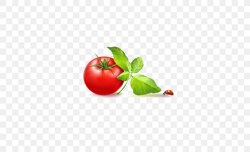Tomato Vegetable Clip Art, PNG, 500x500px, Tomato, Apple, Cherry, Diet Food, Food Download Free
