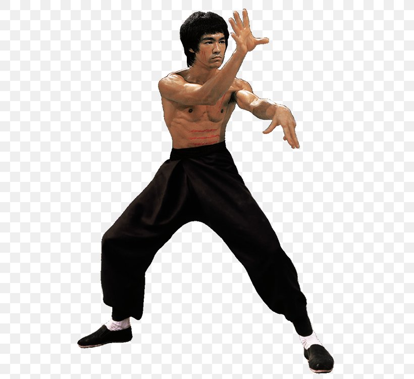 Bruce Lee: Quest Of The Dragon Bruce Lee: Return Of The Legend Martial Arts, PNG, 551x750px, Bruce Lee Quest Of The Dragon, Brandon Lee, Bruce Lee, Bruce Lee Return Of The Legend, Costume Download Free