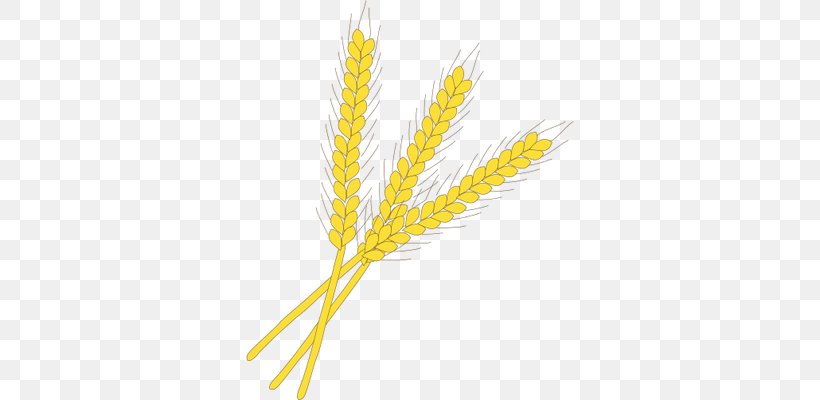 Emmer Einkorn Wheat Rye Symbol Cereal Germ, PNG, 328x400px, Emmer, Cereal, Cereal Germ, Commodity, Crop Download Free