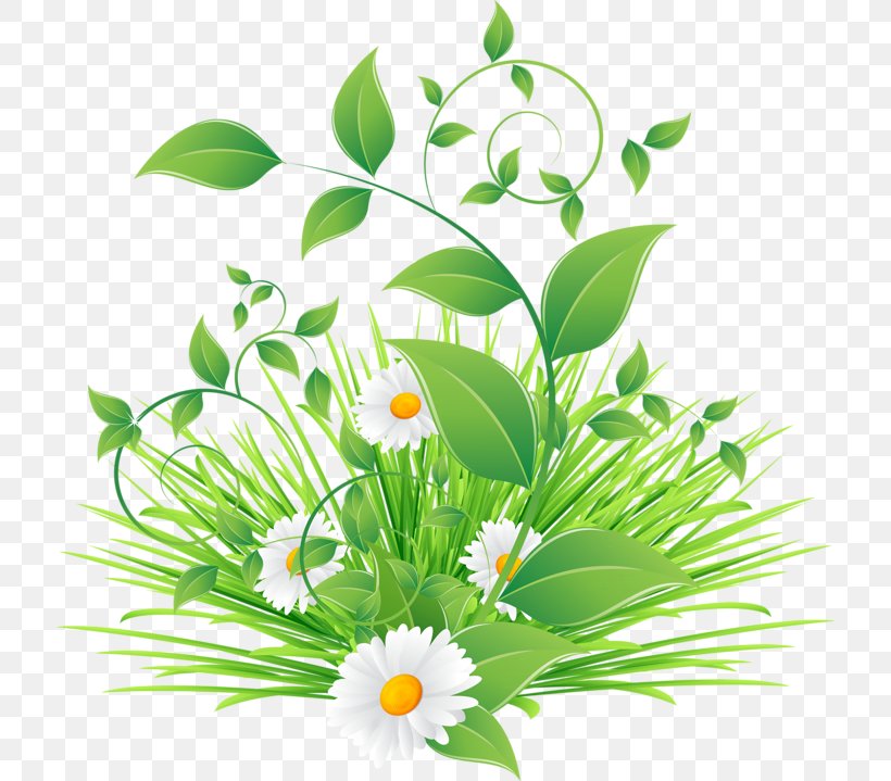 Paper Leaf Plant Green, PNG, 800x719px, Paper, Art, Chamomile, Daisy, Daisy Family Download Free