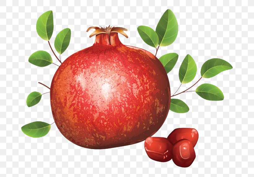 Pomegranate Royalty-free Clip Art, PNG, 760x570px, Pomegranate, Apple, Drawing, Food, Fotosearch Download Free