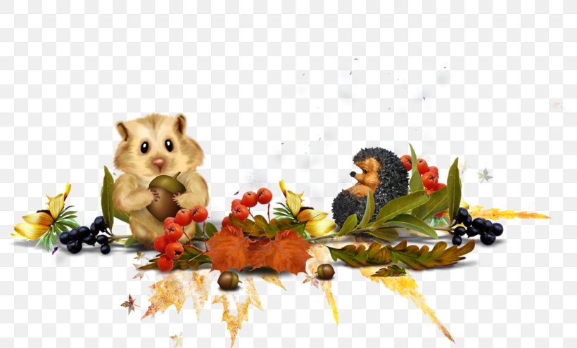 Autumn Festival, PNG, 800x495px, Autumn, Animation, Blog, Cartoon, Cat Download Free