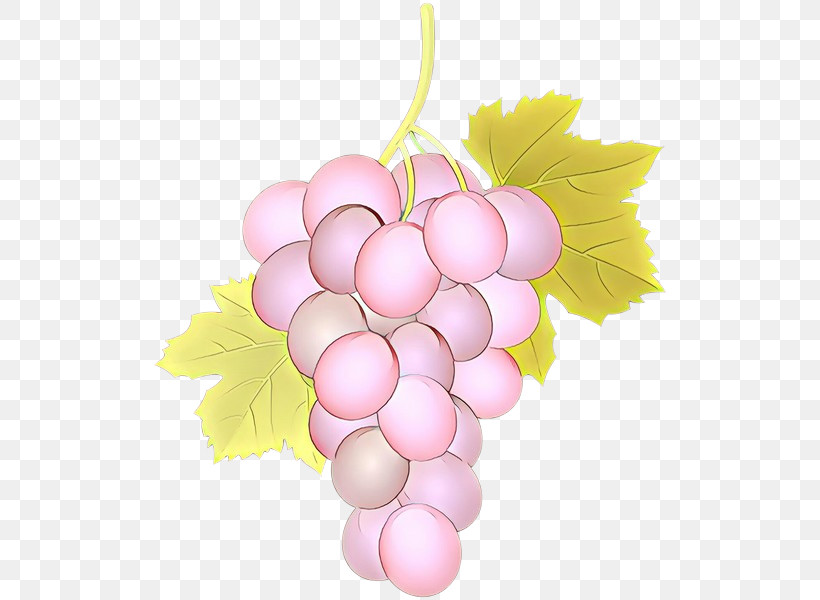 Grape Grapevine Family Pink Vitis Seedless Fruit, PNG, 516x600px, Grape, Flower, Food, Fruit, Grapevine Family Download Free