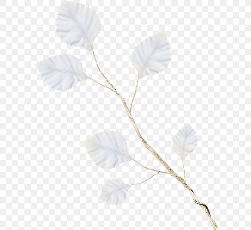 Petal Rose Family Leaf Plant Stem, PNG, 600x749px, Petal, Black And White, Branch, Branching, Family Download Free