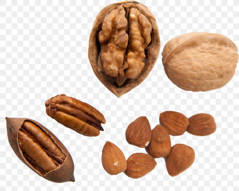 Walnut Pecan Nuts Auglis, PNG, 2686x2149px, Walnut, Algarroba, Almond, Auglis, Banana Download Free